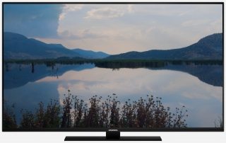 49 VLX 9775 BP Miami